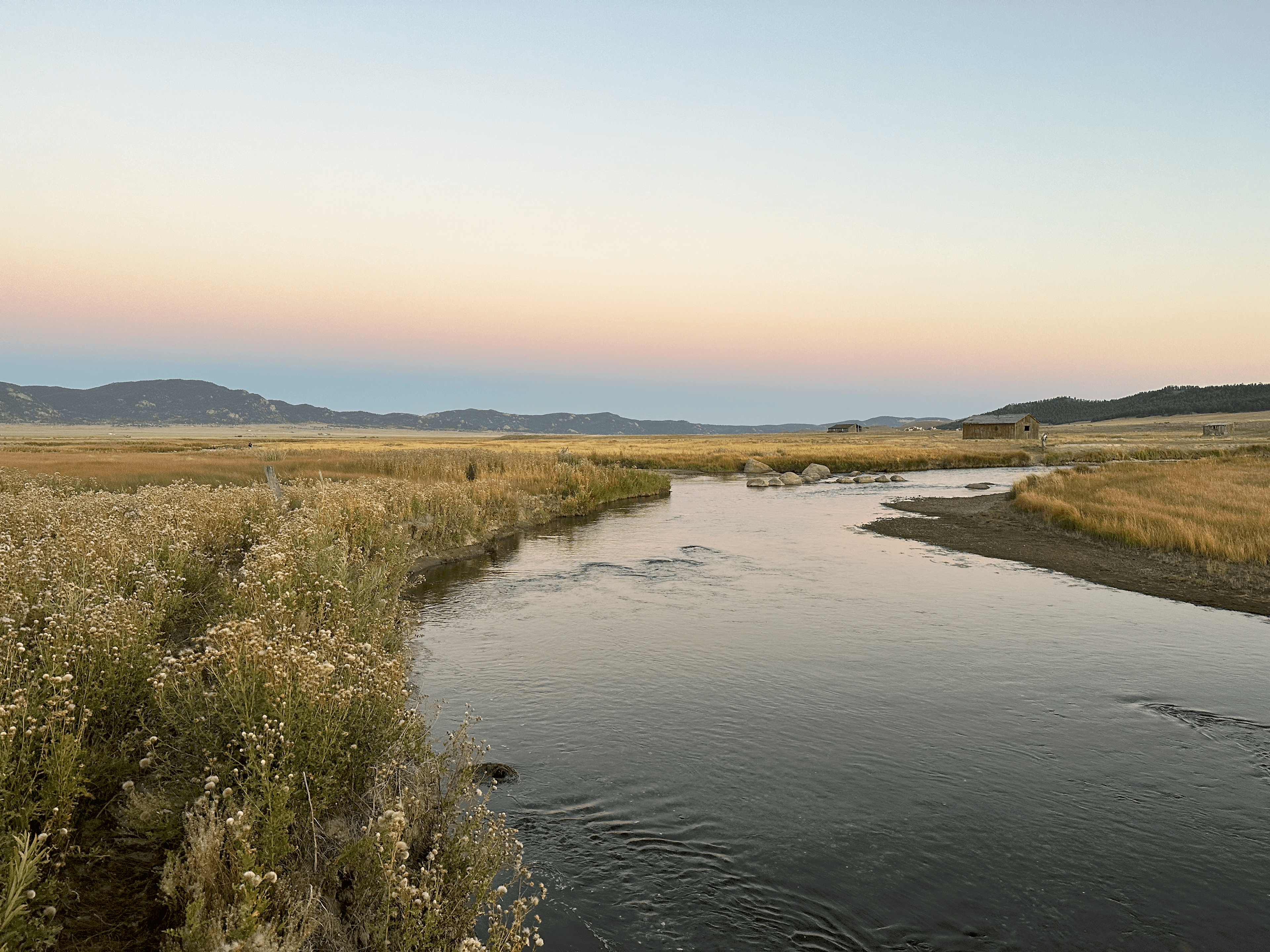 Fly Fishing Guide Trips